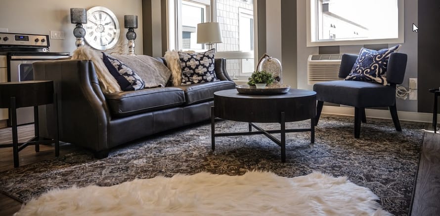 rug in living room